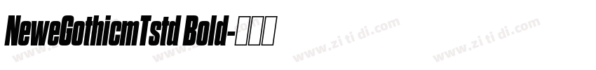 NeweGothicmTstd Bold字体转换